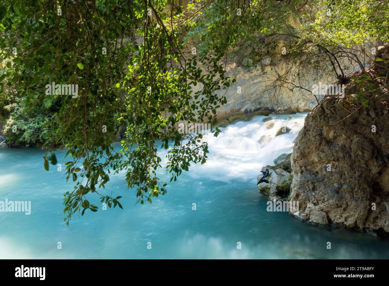 Esplora l'ecosistema diversificato, dal flusso al lago sereno. La ricca vegetazione e la bellezza accattivante caratterizzano questo paesaggio naturale e l'acqua Foto Stock