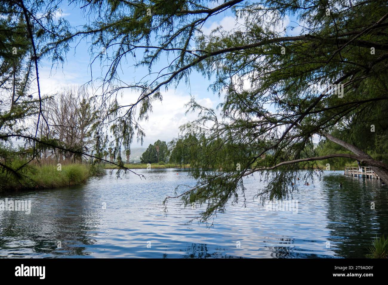 Scoprite l'incantevole paesaggio di Media Luna, caratterizzato da un lago sereno, foreste lussureggianti e tranquilli corsi d'acqua Foto Stock