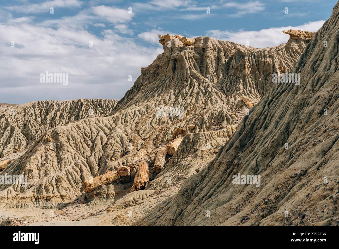 Foresta pietrificata Sarmiento, provincia di Chubut, Argentina Foto Stock