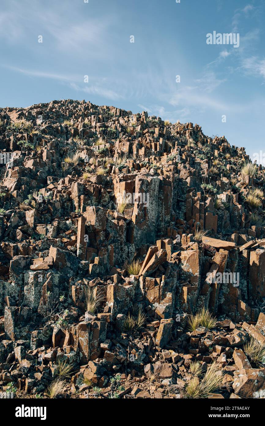Colonne basaltiche, Cabo Dos Bahias, Chubut, Argentina Foto Stock