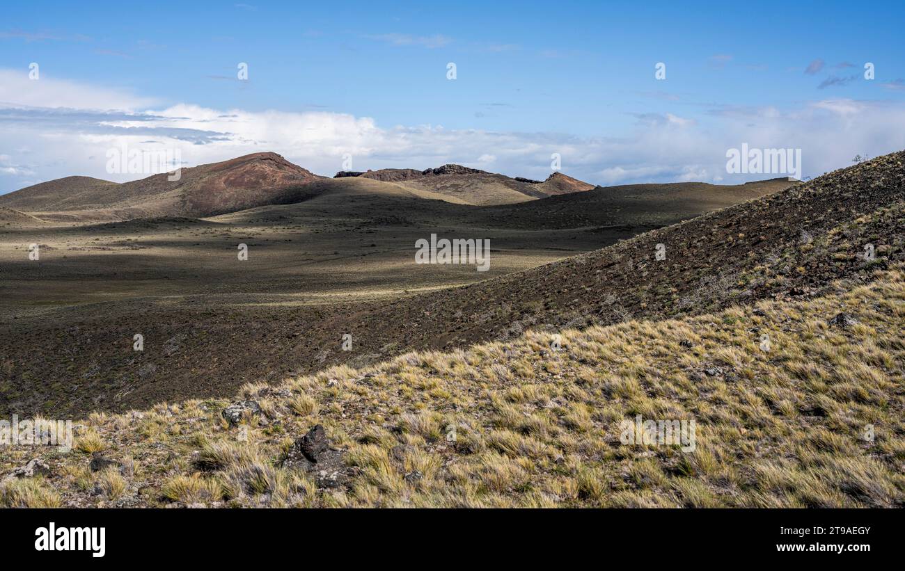 Steppa della Patagonia, Laguna Azul Santa Cruz, campo vulcanico di Pali Aike, RN3, Rio Gallegos, Santa Cruz, Argentina Foto Stock