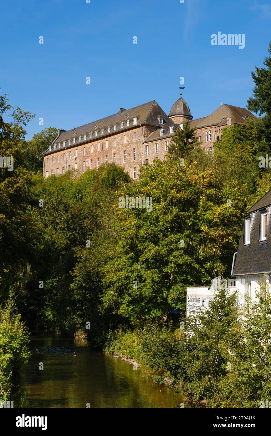 Castello di Schleiden, Schleiden, Parco Nazionale di Eifel, Renania settentrionale-Vestfalia, Germania Foto Stock