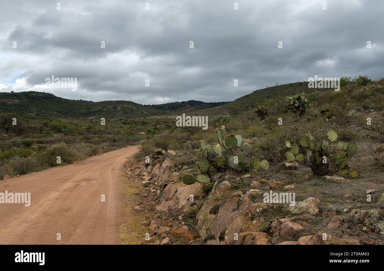 Una strada sterrata e un paesaggio desertico a Guanajuato in Messico Foto Stock