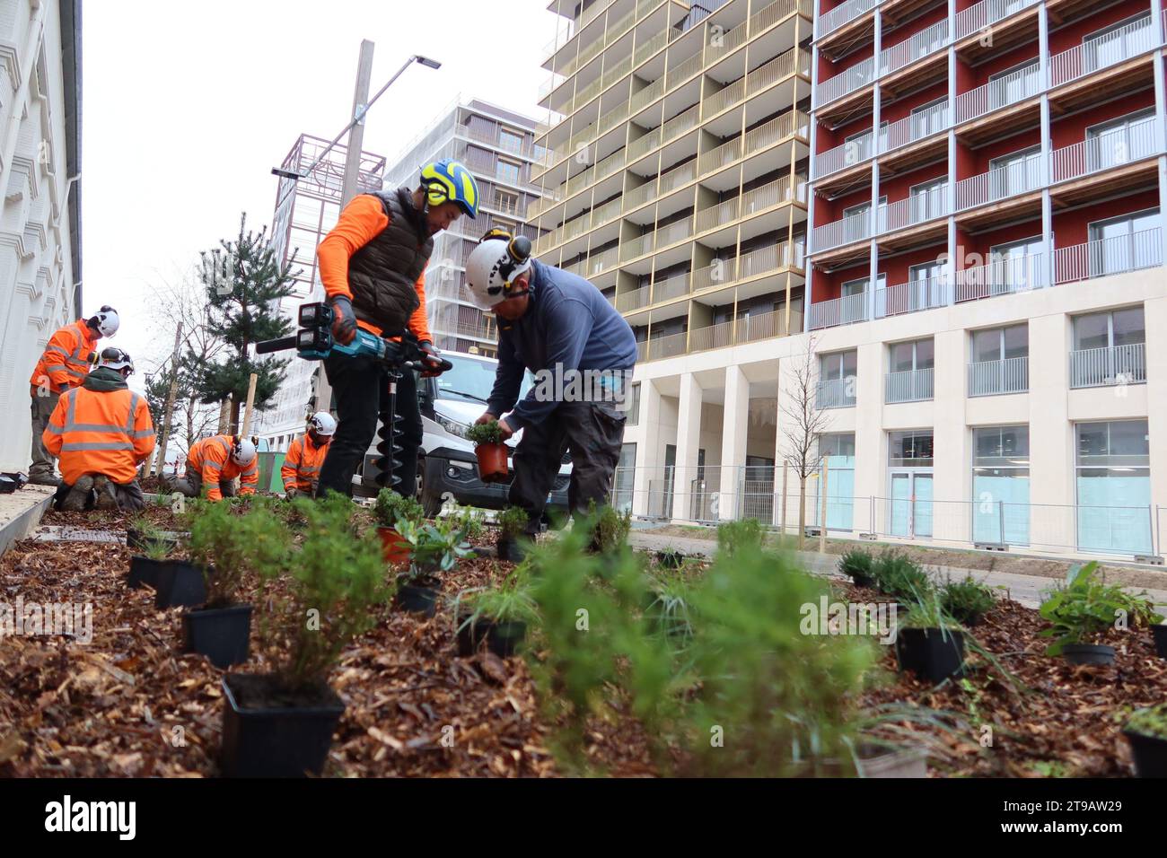 Saint Ouen, Francia. 23 novembre 2023. © PHOTOPQR/LE PARISIEN/Alexandre Arlot ; Saint-Ouen ; 23/11/2023 ; Entre Saint-Denis et Saint-Ouen, le 23 ottobre 2023. La Plantation de 9 000 arbres et arbustes a commencé ce mois-ci sur le Village olympique. Elle s'échelonnera jusqu'au mois de février. - Saint Ouen, Francia, 23 novembre 2023. Giochi Olimpici di Parigi la piantagione di 9.000 alberi e arbusti è iniziata questo mese nel Villaggio Olimpico. Durerà fino a febbraio. Credito: MAXPPP/Alamy Live News Foto Stock