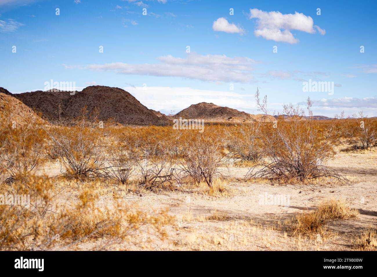 Scenario desertico con colline e cieli blu Foto Stock