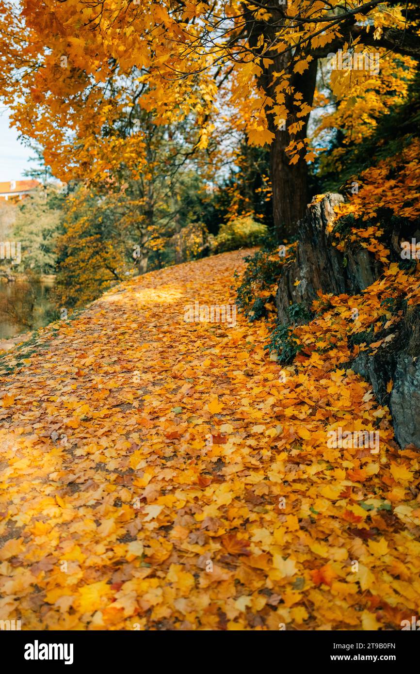 Parco autunnale a Praga con il tempo soleggiato, foglie cadute Foto Stock