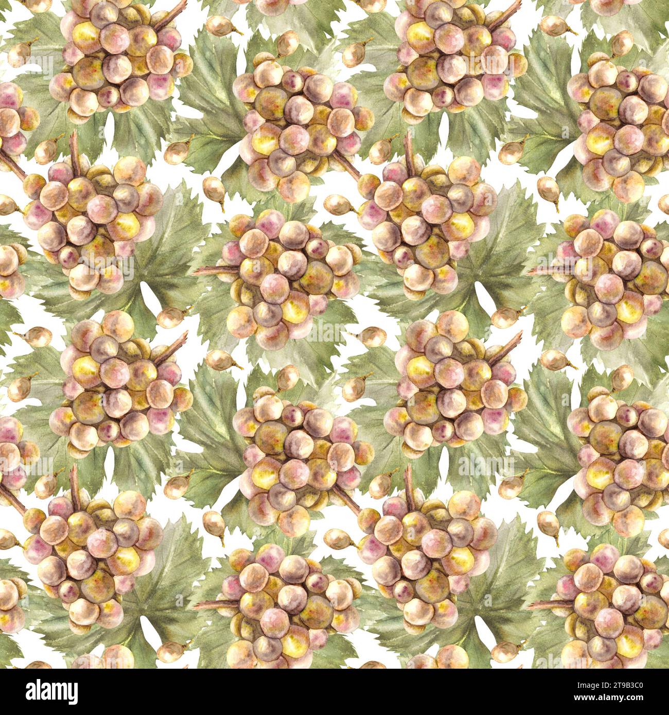 Motivo ad acquerello senza cuciture. Grappolo di uva gialla verde, foglie e bacca d'uva. Grapevine dipinto a mano. Carta da imballaggio, etichette, stampa di tessuti Foto Stock