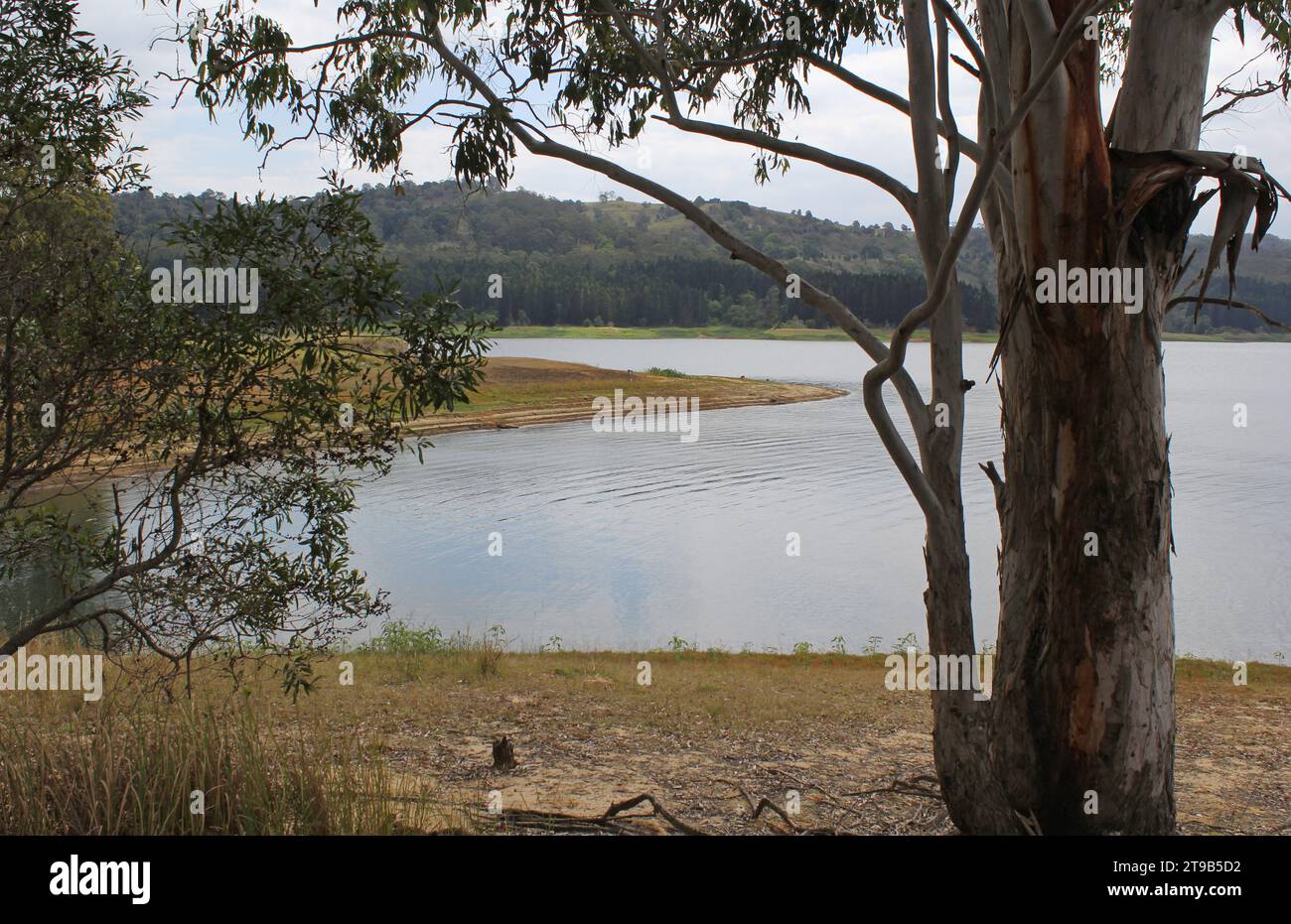 Baroon Pocket Dam con acqua e alberi vicino a Maleny nel Queensland, Australia Foto Stock