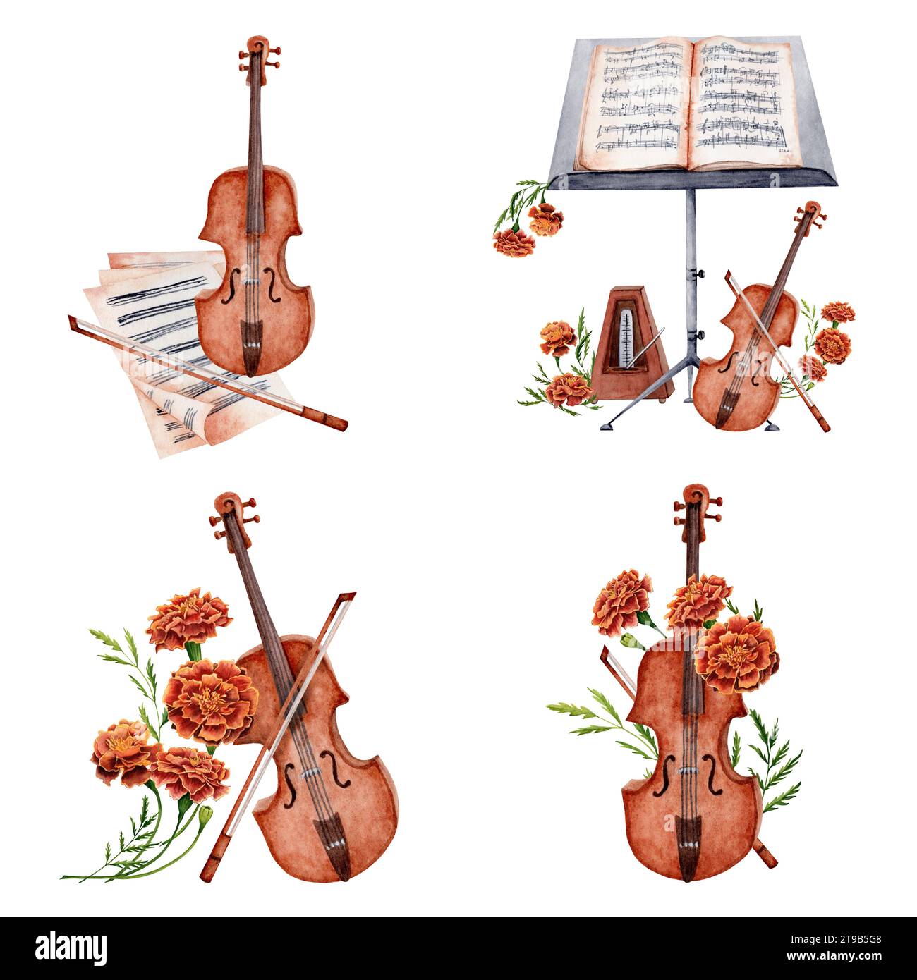 Violino, strumento d'archi, metronomo, supporto musicale, spartiti, fiori di calendula. Collezione di composizioni di musica classica disegnate a mano. Waterc Foto Stock