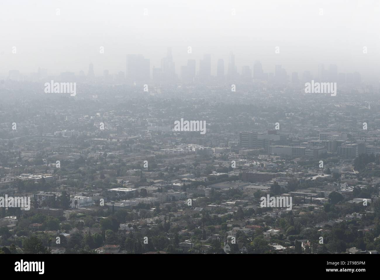 Los Angeles, California, USA - 30 luglio 2023: Los Angeles Cityscape nella nebbia. Foto Stock