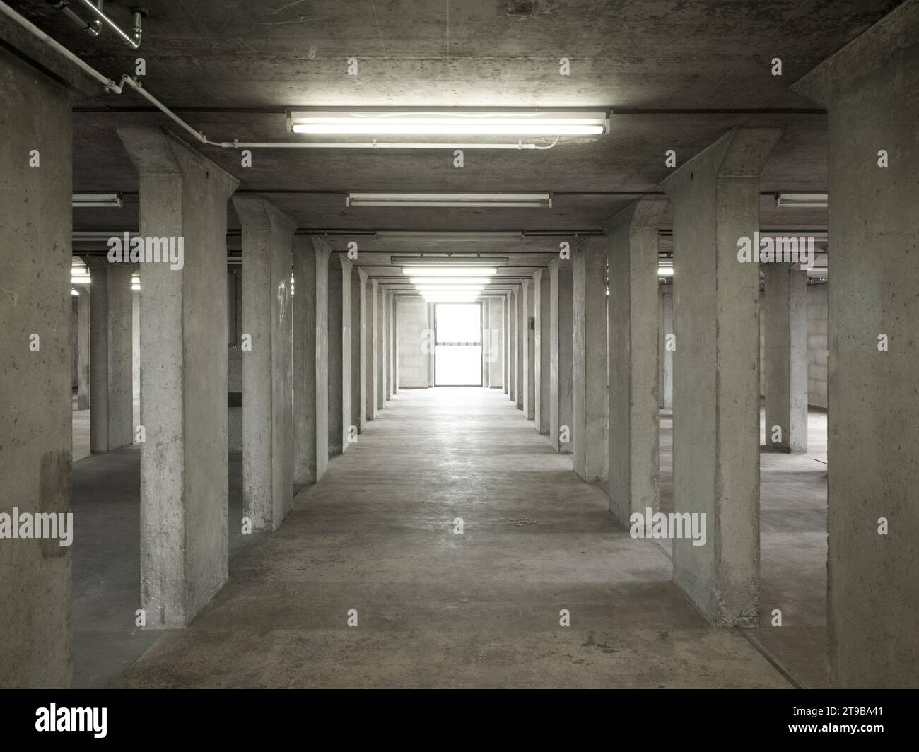 Il Boekentoren è una torre alta 64 metri situata nella città belga di Gand, progettata dall'architetto-artista belga Henry Van de Velde. Foto Stock