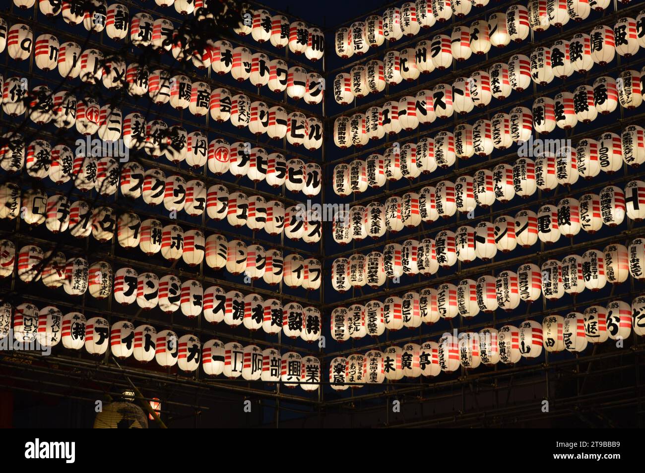 "Harmony in Hiragana: Japanese Temple Vocabulary Unveiled" "Shrine Silence: A Lexicon of Japanese Temple Whispers" "Kami Chronicles: Words of Wisdom f Foto Stock