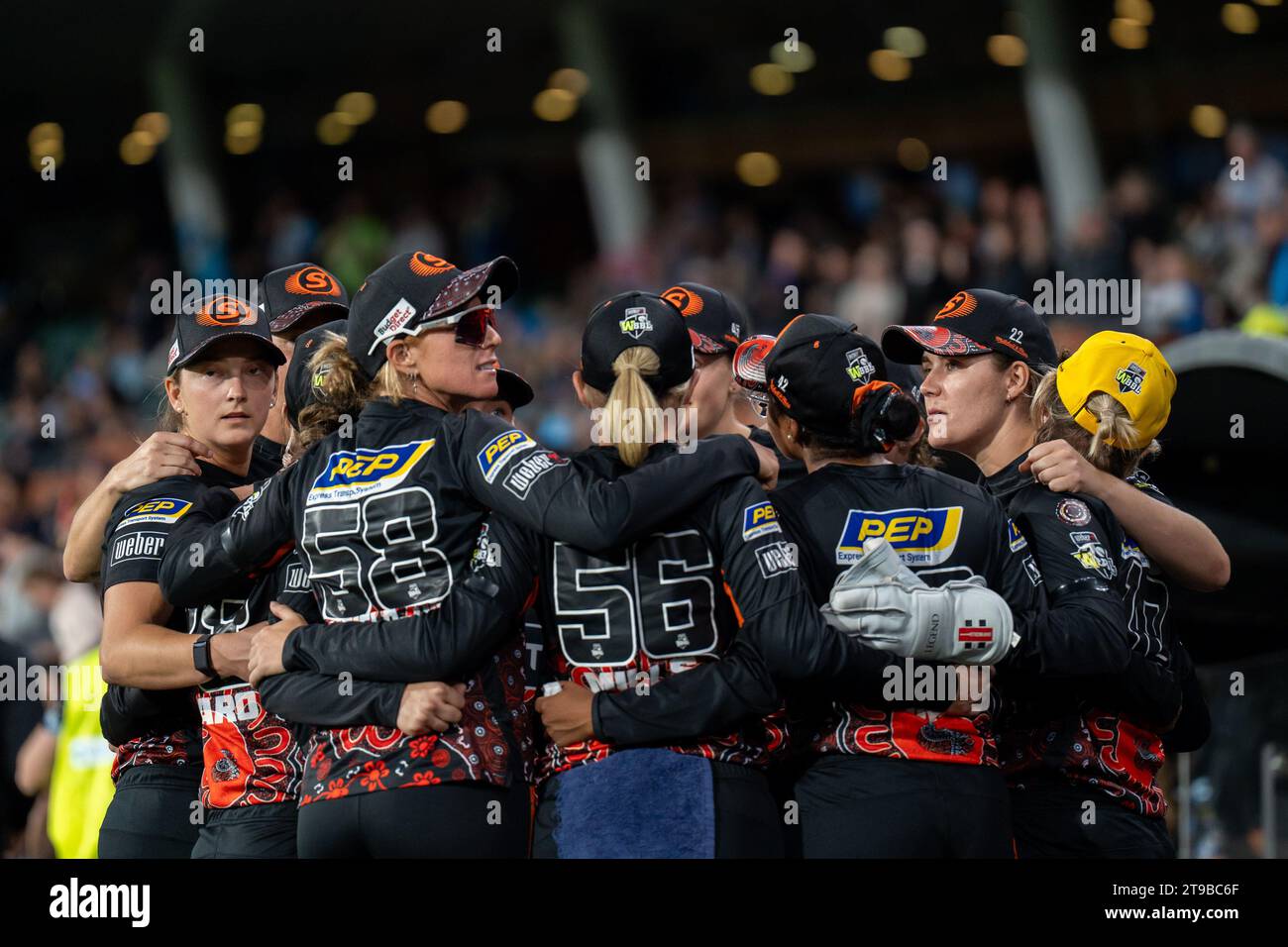 Adelaide, Australia. 24 novembre 2023. Adelaide, Australia, 24 novembre 2023: Giocatori dei Perth Scorchers durante la partita della Weber Womens Big Bash League 09 tra Adelaide Strikers e Perth Scorchers all'Adelaide Oval di Adelaide, Australia (Noe Llamas/SPP) credito: SPP Sport Press Photo. /Alamy Live News Foto Stock