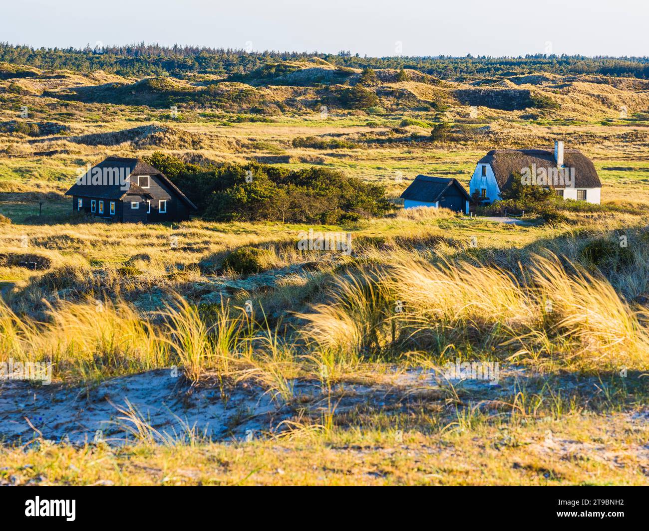 Cottage in un paesaggio ondulato nelle giornate di sole Foto Stock