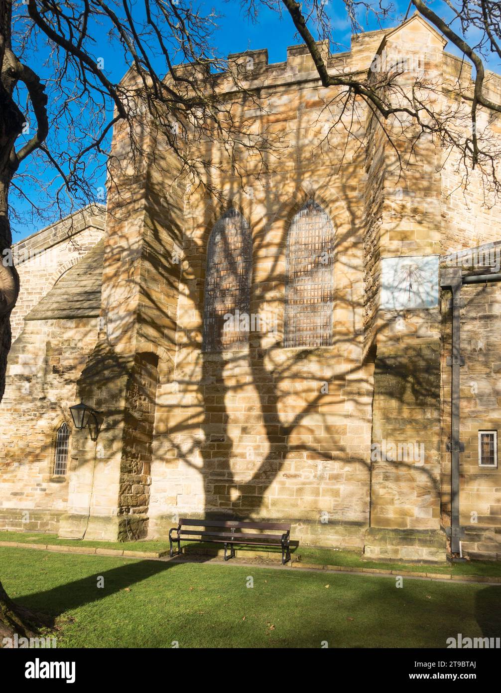 Albero che getta un'ombra sulla facciata sud della cattedrale di Durham, Inghilterra, Regno Unito Foto Stock