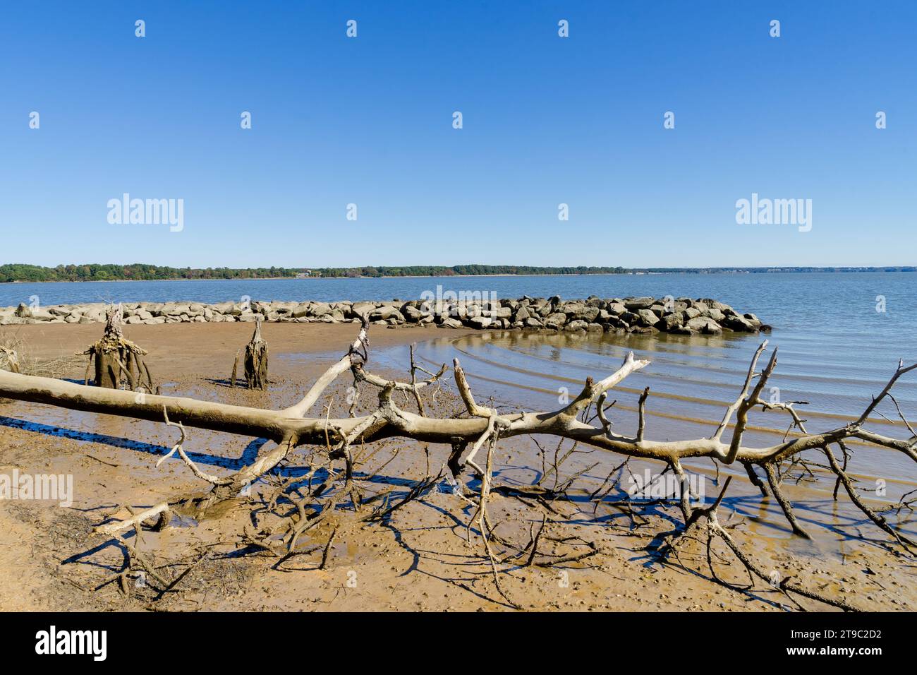 viaggerete su una spiaggia sabbiosa vicino a una baia Foto Stock