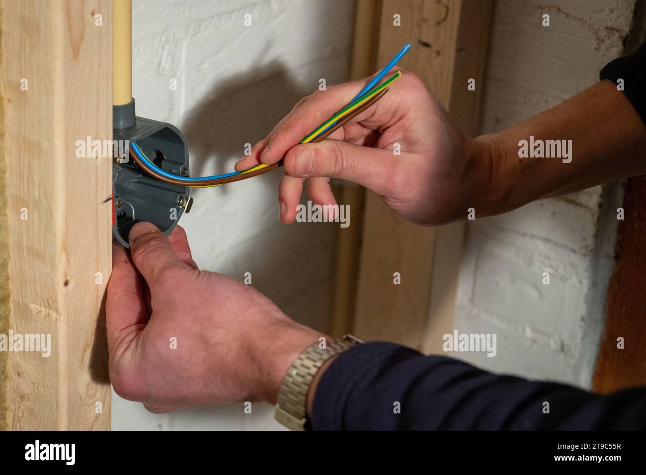 Costruzione e installazione del cablaggio elettrico con la fase marrone, il neutro blu e il filo di terra giallo in una casa utilizzando i contenitori della parete intercapedine Foto Stock