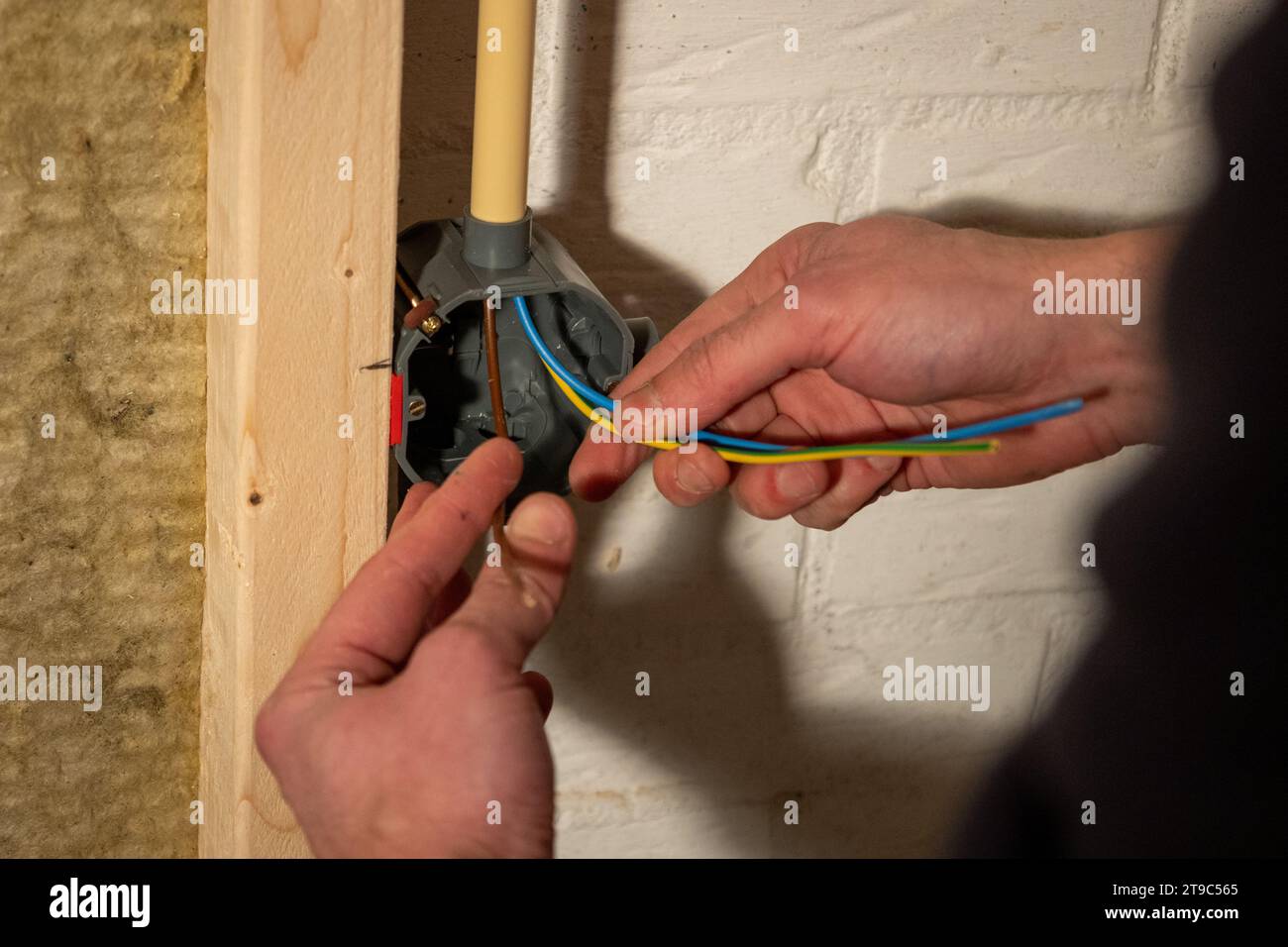 Costruzione e installazione del cablaggio elettrico con la fase marrone, il neutro blu e il filo di terra giallo in una casa utilizzando i contenitori della parete intercapedine Foto Stock