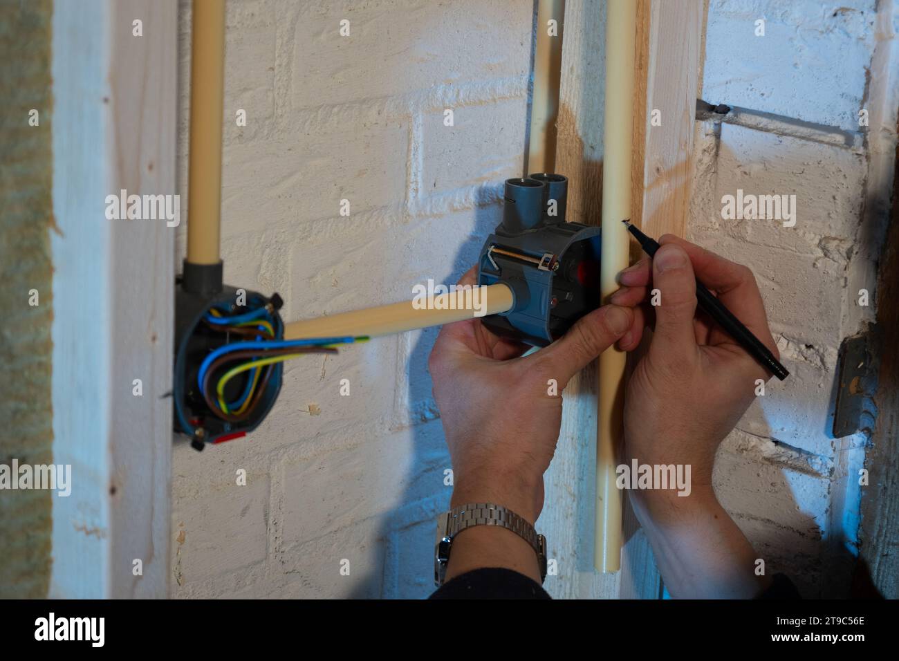 Costruzione e installazione del cablaggio elettrico con la fase marrone, il neutro blu e il filo di terra giallo in una casa utilizzando i contenitori della parete intercapedine Foto Stock