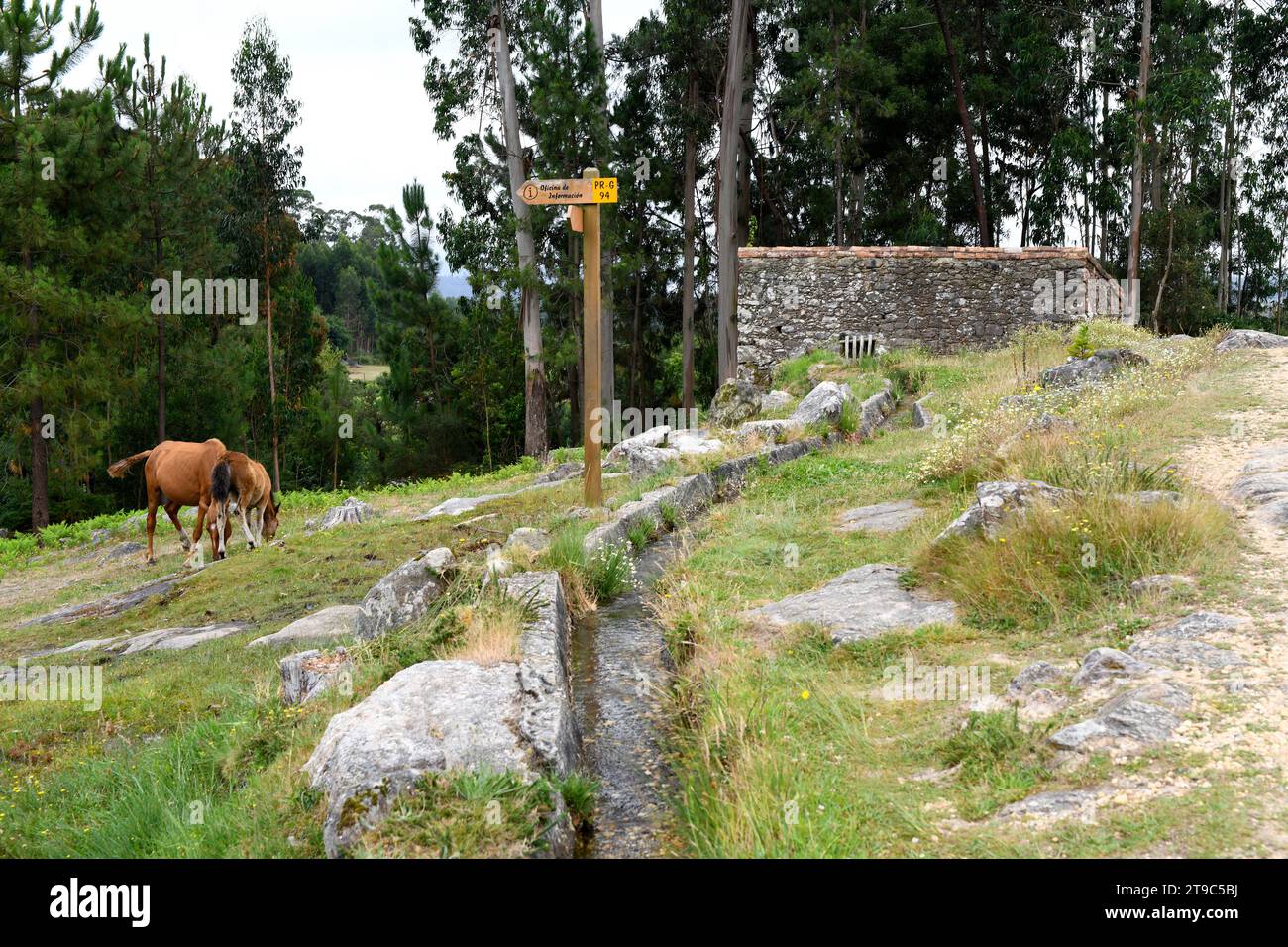 El Rosal, Pontevedra, Galizia, Spagna. Foto Stock