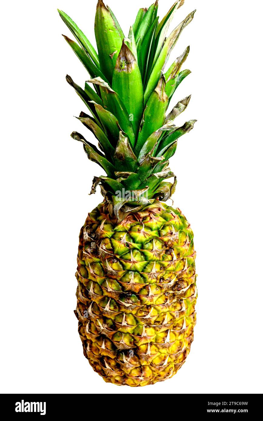 Ananas intero isolato su sfondo bianco. Stile di vita sano Foto Stock