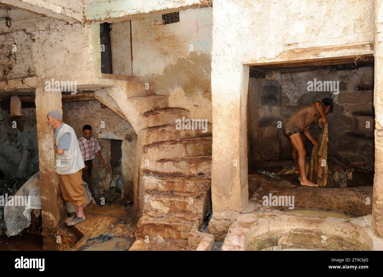 Conceria Chouara. Fez, Marocco. Foto Stock