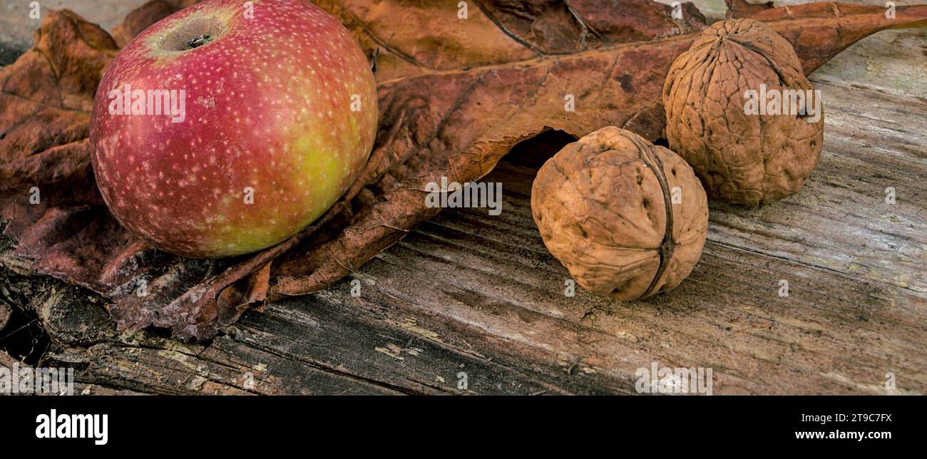 Autunno, foglie per terra, qualche frutto. Una natura morta della caduta Foto Stock