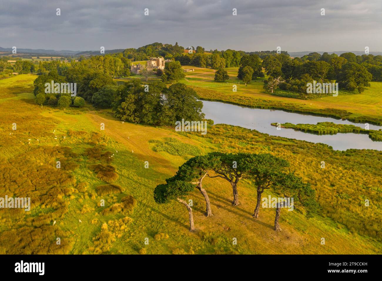Powderham Castle and Grounds, Devon, Inghilterra. Autunno (settembre) 2021. Foto Stock
