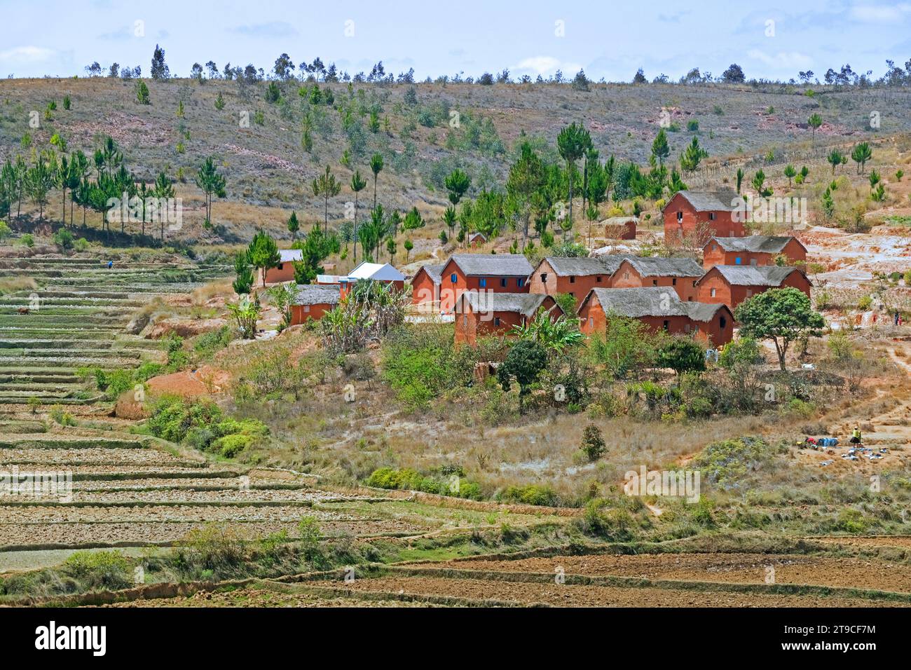 Villaggio rurale malgascio con tradizionali case in paglia di adobe rosso nelle Highlands centrali tra Antananarivo e Antsirabe, Madagascar, Africa Foto Stock