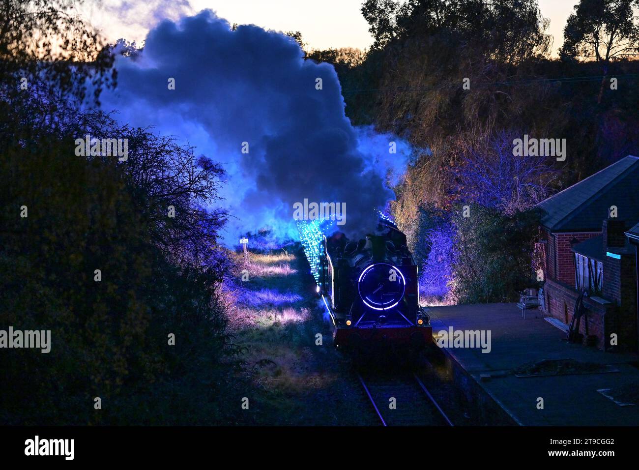 Ongar Essex, Regno Unito. 24 novembre 2023. La ferrovia Epping Ongar Heritage ospita il suo fantastico treno leggero invernale. Il treno condurrà i passeggeri tra la stazione di Ongar verso Epping con uno spettacolo di luci spettacolare che illumina la campagna mentre passa con le sue centinaia di luci colorate e le mostre illuminate lungo la linea. Crediti: MARTIN DALTON/Alamy Live News Foto Stock