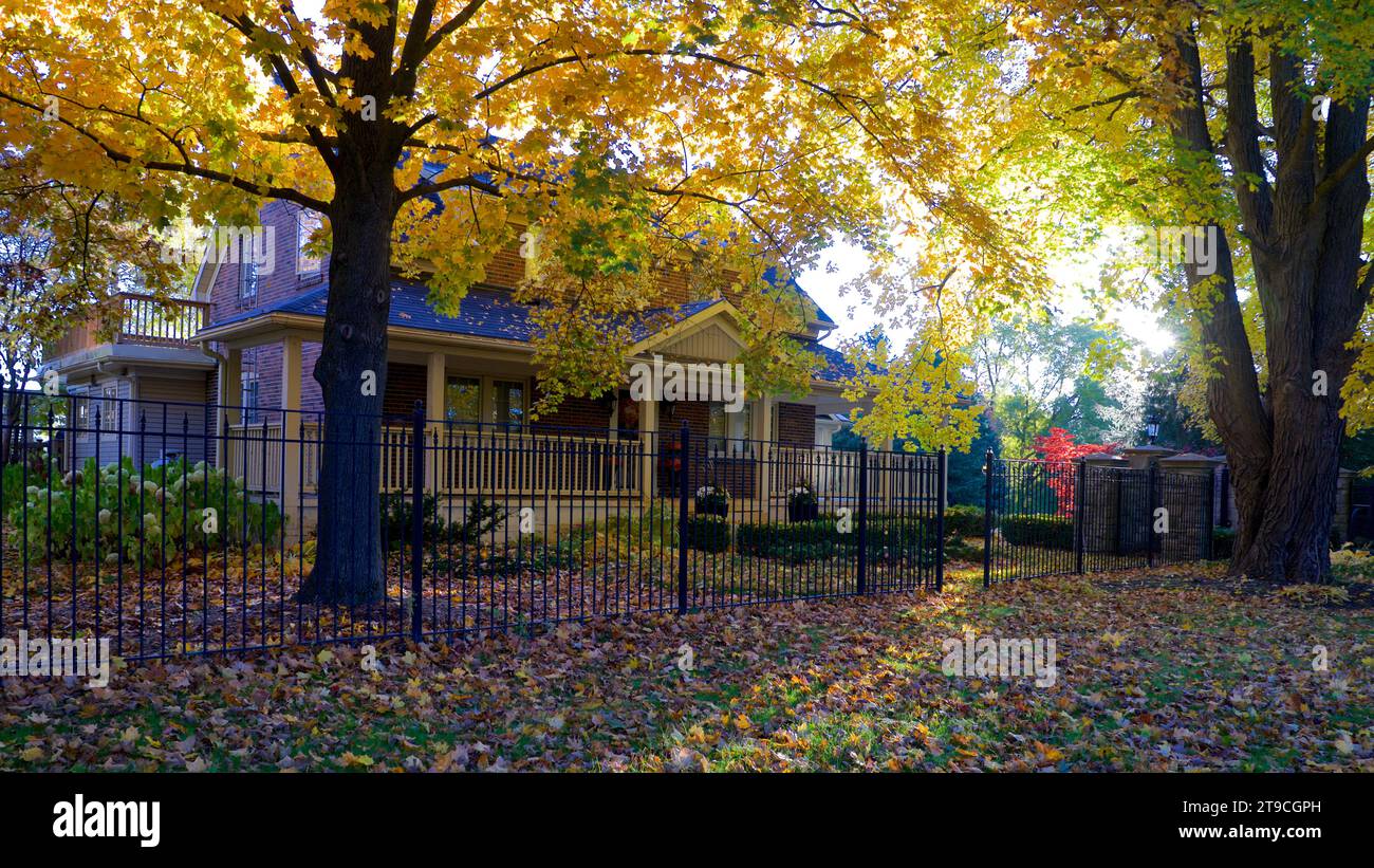 Colore autunnale delle foglie e riflessi delle lenti in un edificio residenziale Foto Stock Colore autunnale delle foglie e riflessi delle lenti in un edificio residenziale Foto Stock