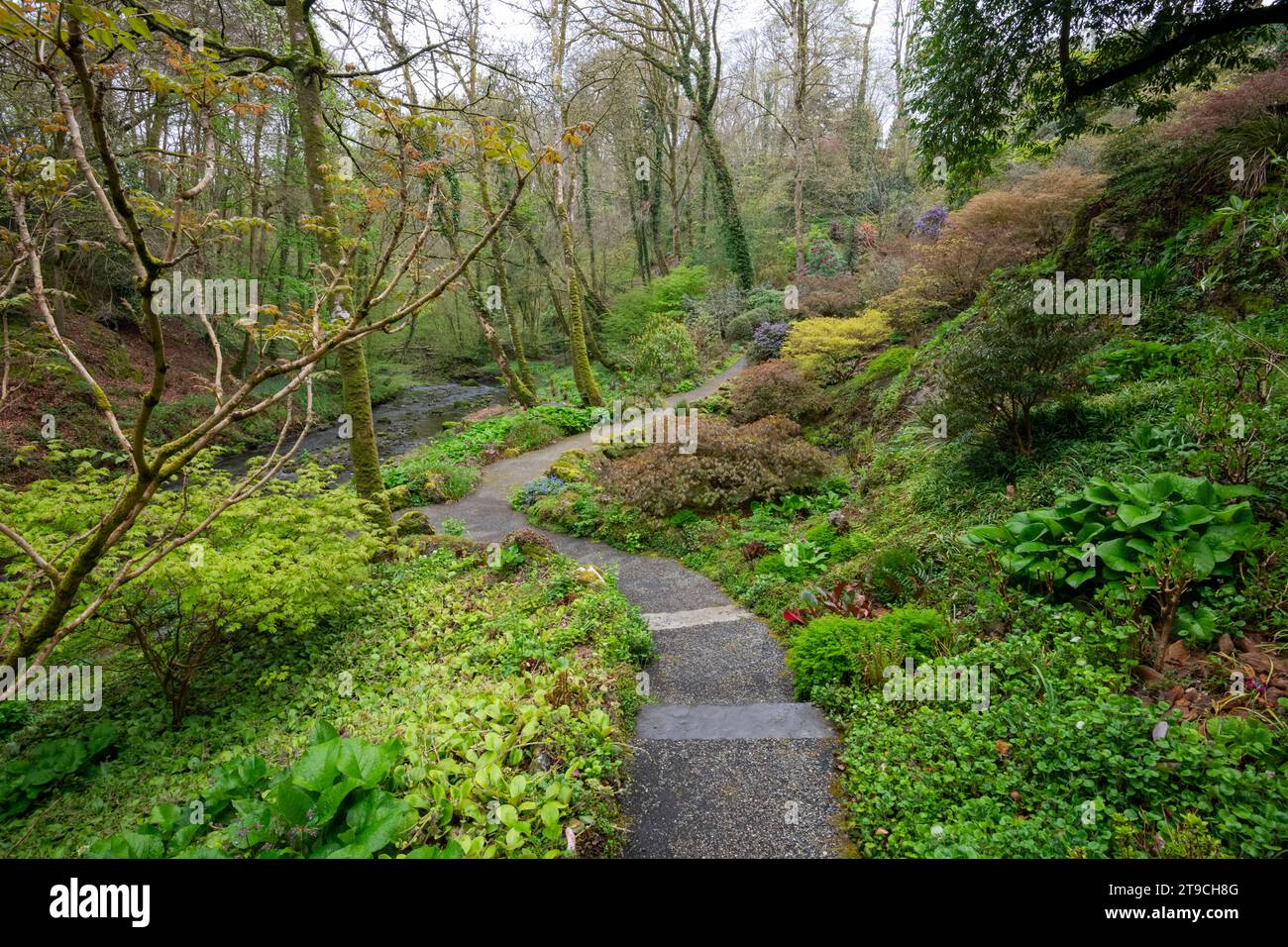 Plas Cadnant Hidden Gardens, Menai Bridge, Anglesey, Galles del Nord. Foto Stock