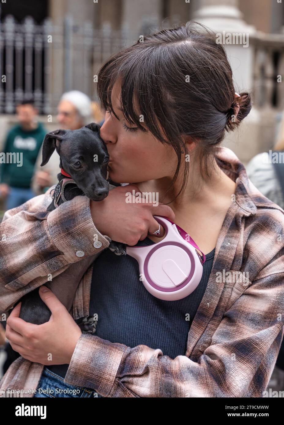 Un pomeriggio a Milano con decine di bellissimi e simpatici cani Dachshund Foto Stock