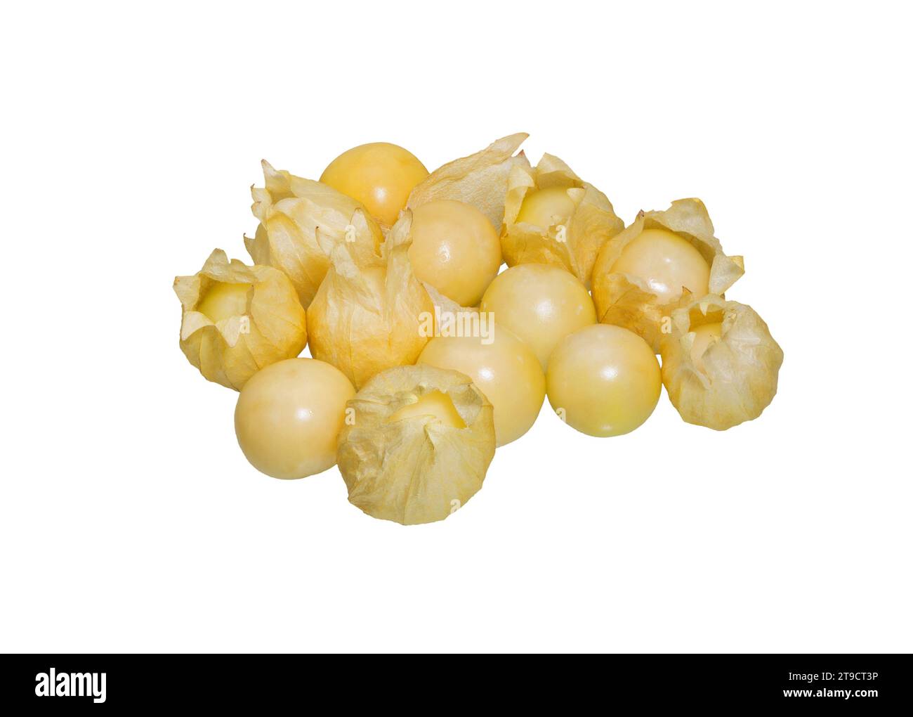 Cape gooseberry, physalis isolati su sfondo bianco. Foto Stock