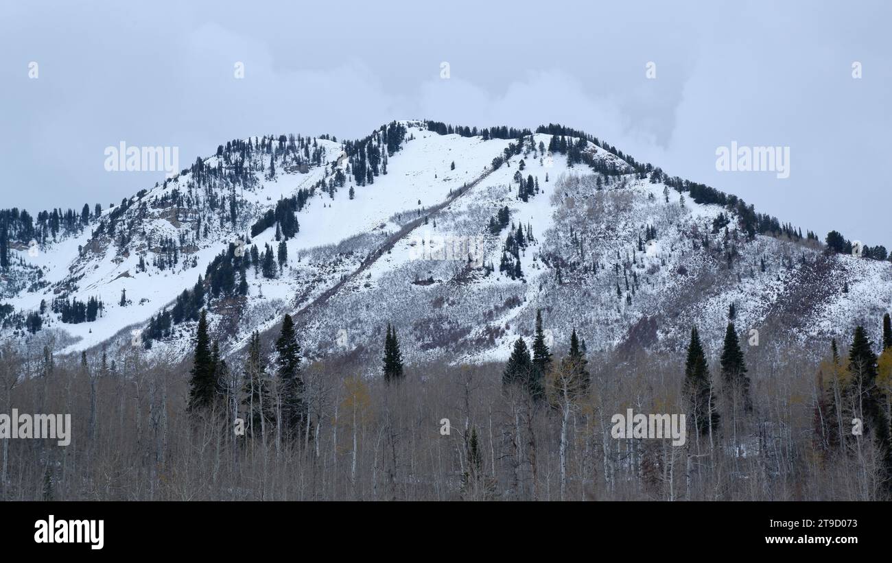 Montagne innevate nello Utah Foto Stock