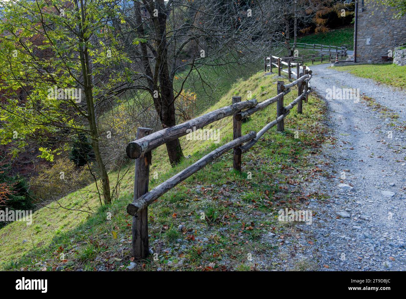 Strada di campagna nel bosco con alberi colorati Foto Stock