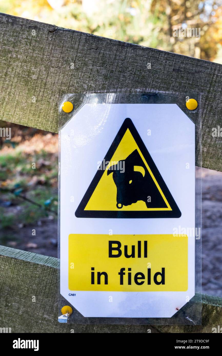 Cartello Bull in Field su una recinzione nella campagna del Norfolk. Foto Stock