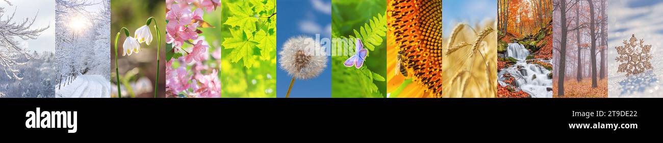 Serie di bellissime foto della natura in inverno, primavera, estate e autunno. Collage di tutti i dodici mesi dell'anno, banner Foto Stock