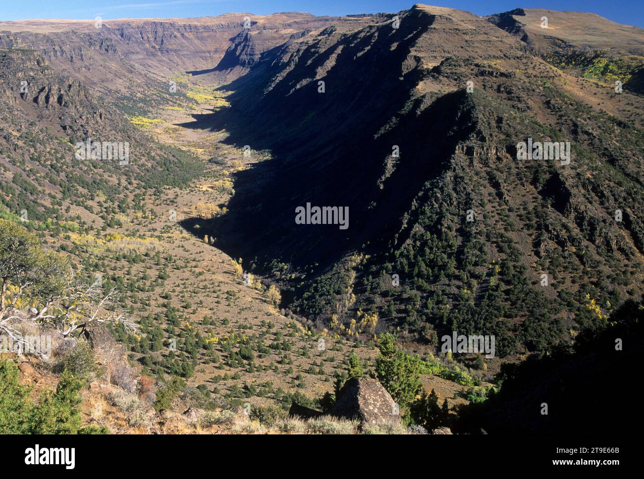 Big Indian Gorge, Steens Mountain National Back Country Byway, Steens Mountain Recreation Area, Oregon Foto Stock