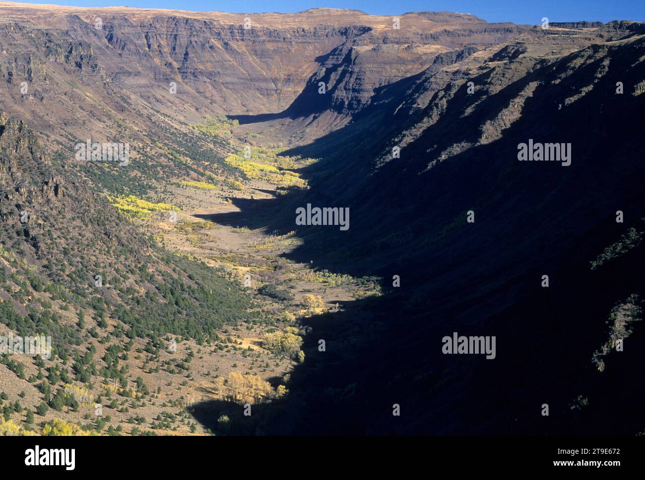 Big Indian Gorge, Steens Mountain National Back Country Byway, Steens Mountain Recreation Area, Oregon Foto Stock