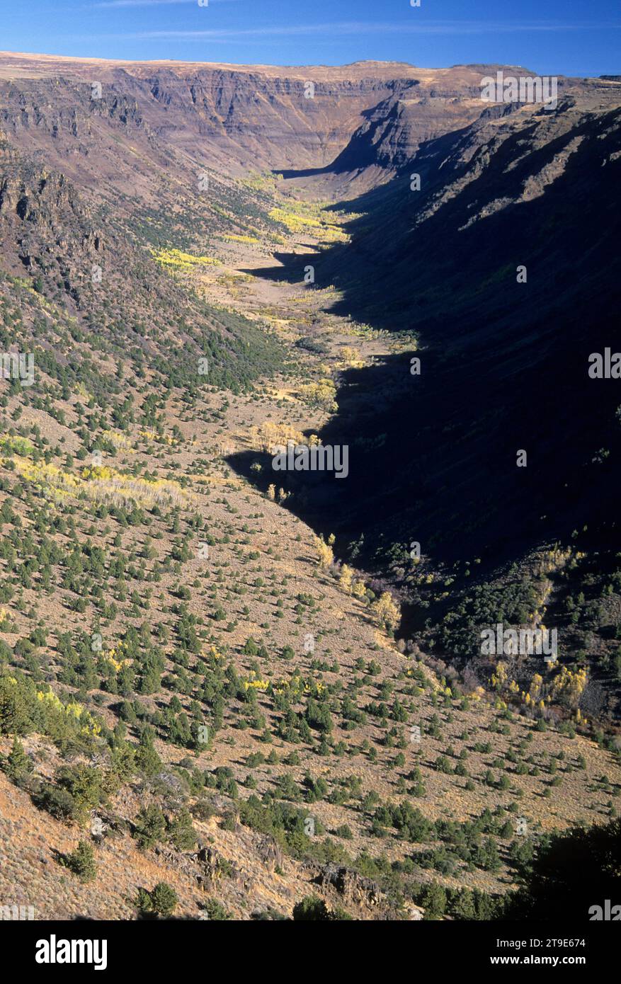Big Indian Gorge, Steens Mountain National Back Country Byway, Steens Mountain Recreation Area, Oregon Foto Stock