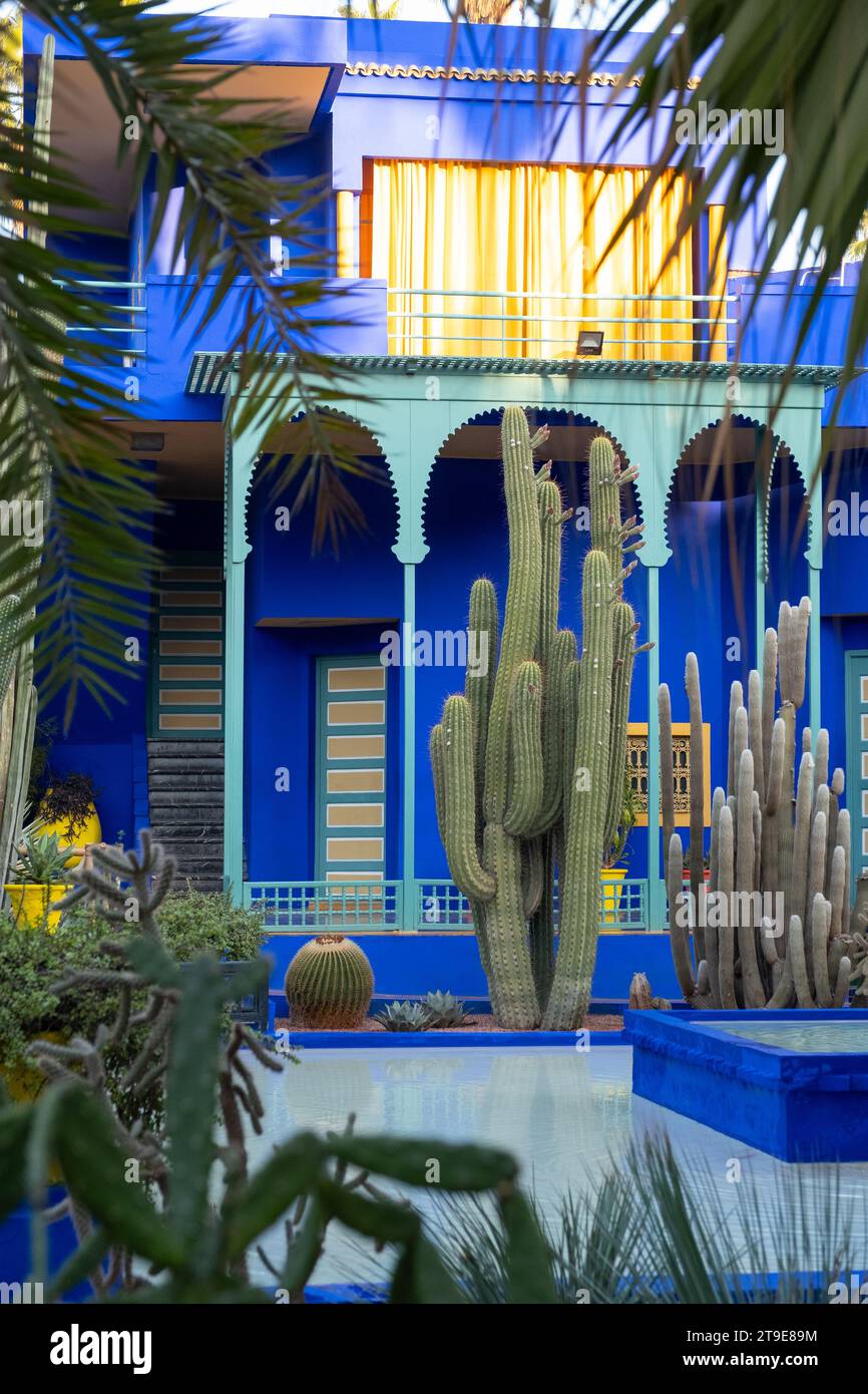 Jardin Majorelle, Marrakech, Marocco Foto Stock