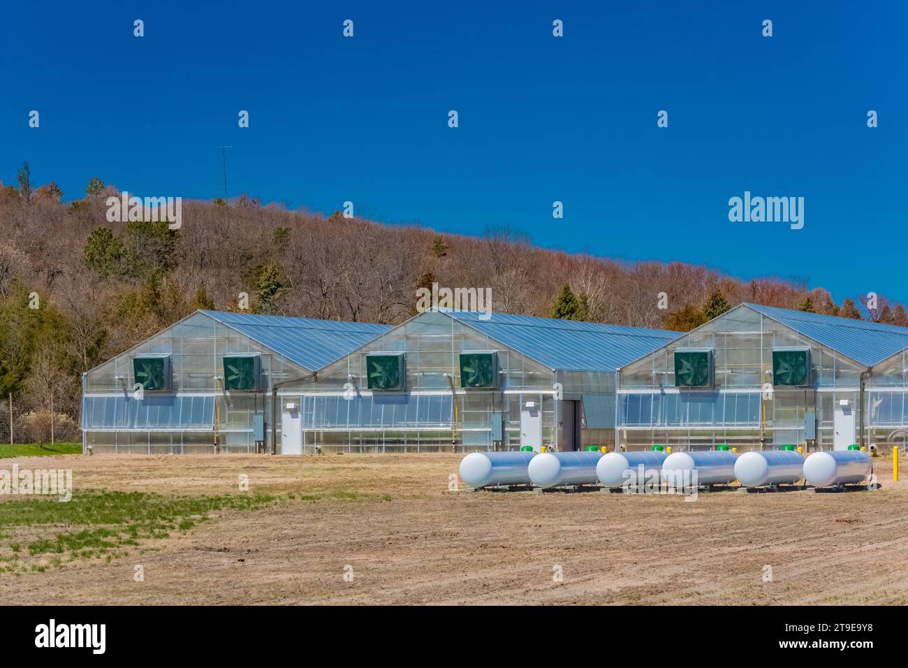 The Charles E. Bessey Tree Nursery nella Nebraska National Forest, Nebraska, USA Foto Stock