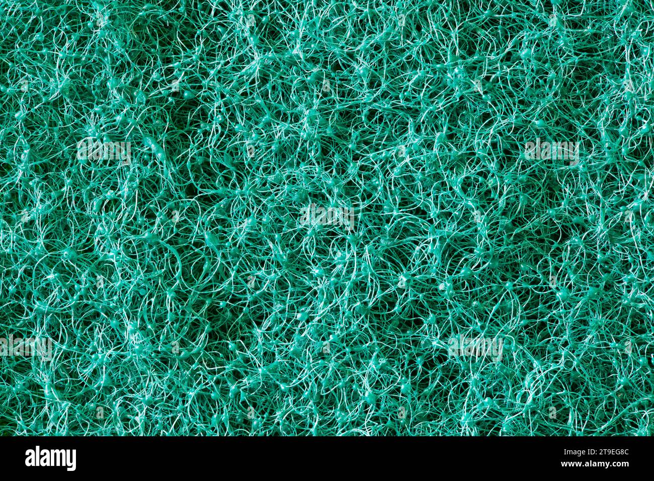 La pila sul retro della spugna in schiuma è verde, vista macro ravvicinata Foto Stock