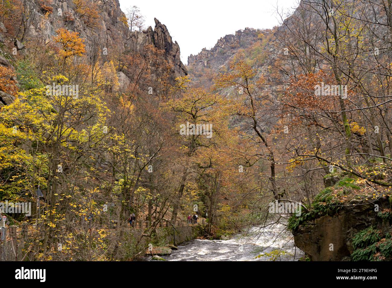 Der Fluss Bode im Bodetal im Harz bei Thale, Sachsen-Anhalt, Deutschland | il fiume Bode e la Gola del Bode nei Monti Harz vicino a Thale, Saxo Foto Stock