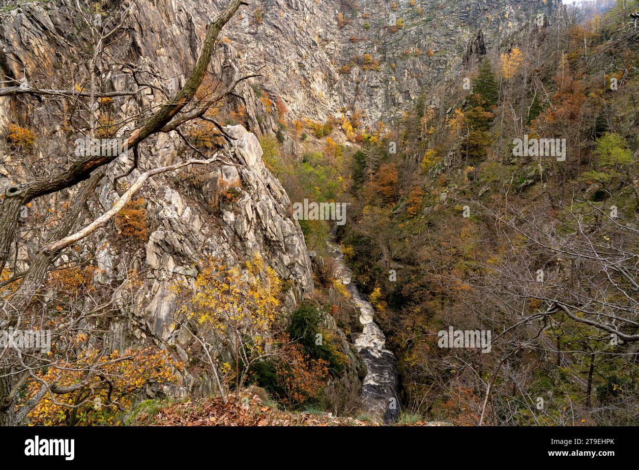 Der Fluss Bode im Bodetal im Harz bei Thale, Sachsen-Anhalt, Deutschland | il fiume Bode e la Gola del Bode nei Monti Harz vicino a Thale, Saxo Foto Stock