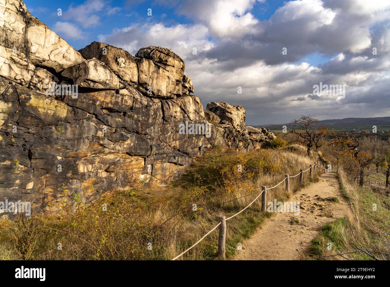 Wanderweg an der Felsformation Teufelsmauer im Landkreis Harz bei Thale und Weddersleben, Sachsen-Anhalt, Deutschland | percorso escursionistico nella roccia Foto Stock