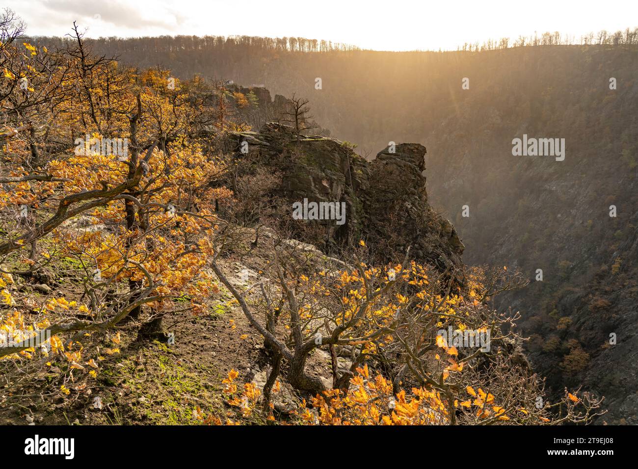 Blick von der Rosstrappe in das Bodetal im Harz bei Thale, Sachsen-Anhalt, Deutschland | Vista dal Rosstrappe alla Gola del Bode all'Harz Moun Foto Stock