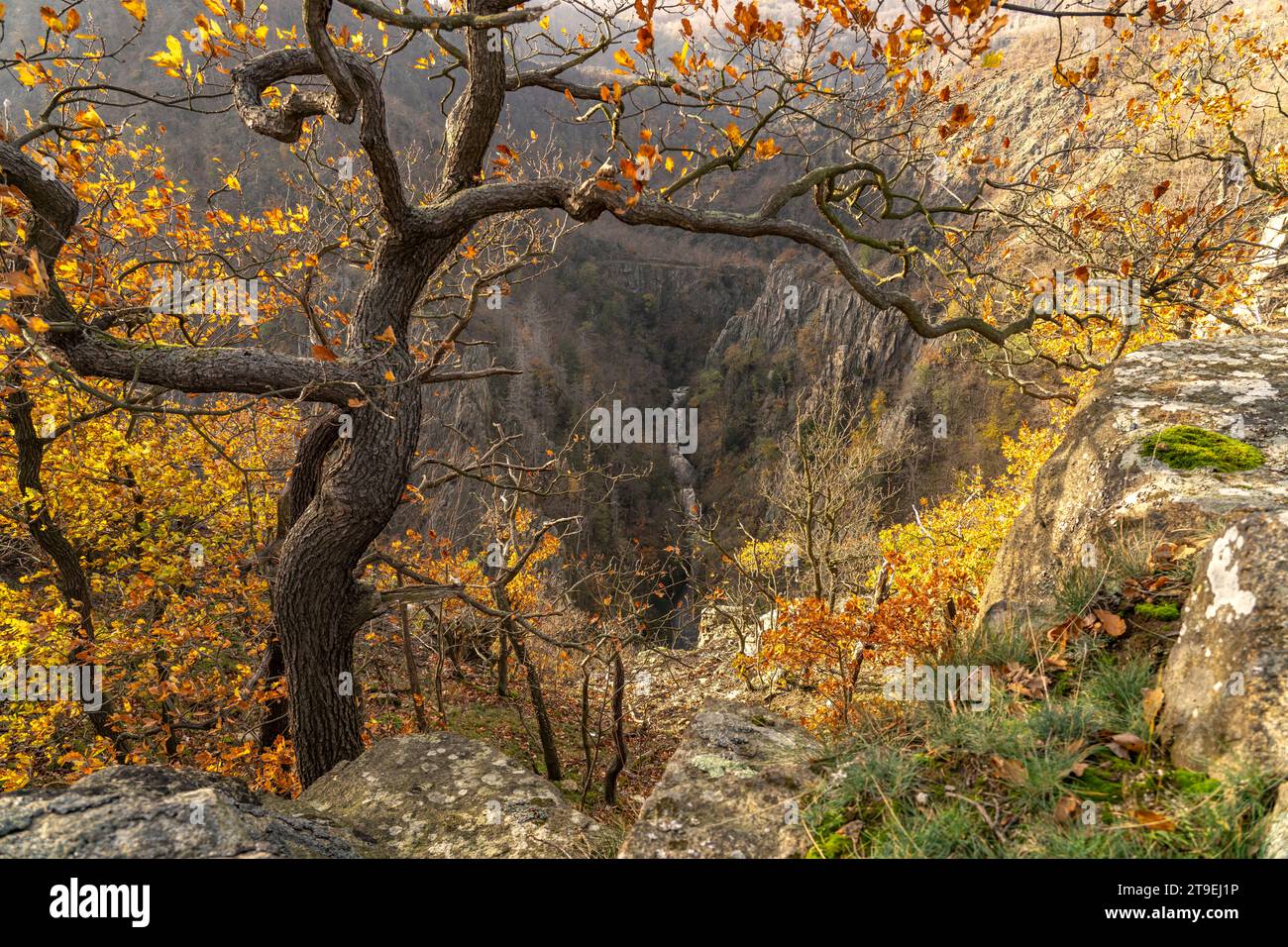 Blick von der Rosstrappe in das Bodetal im Harz bei Thale, Sachsen-Anhalt, Deutschland | Vista dal Rosstrappe alla Gola del Bode all'Harz Moun Foto Stock