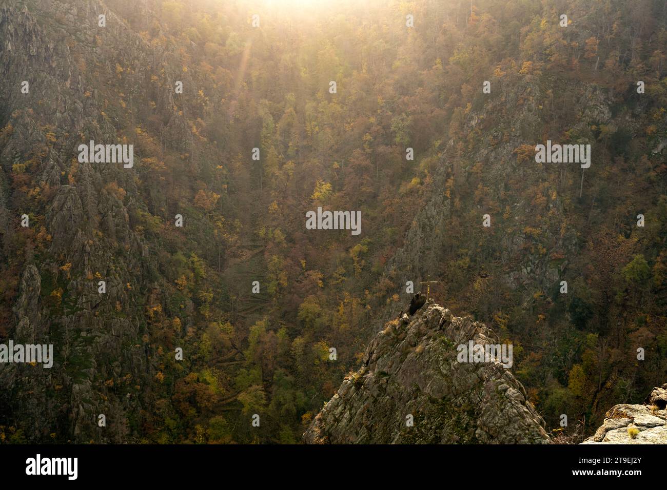Blick von der Rosstrappe in das Bodetal im Harz bei Thale, Sachsen-Anhalt, Deutschland | Vista dal Rosstrappe alla Gola del Bode all'Harz Moun Foto Stock